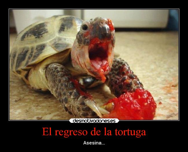 carteles animales desmotivaciones