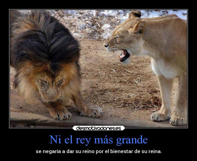 Ni el rey más grande - se negaría a dar su reino por el bienestar de su reina.