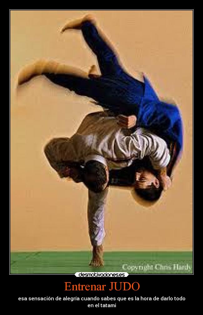 carteles judo desmotivaciones