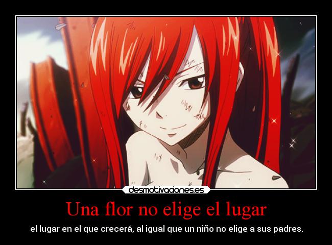 carteles anime frase erza scarlet fairy tail flor nacer nino padres desmotivaciones