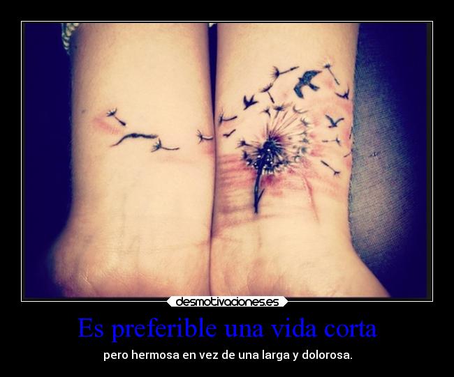 Es preferible una vida corta -