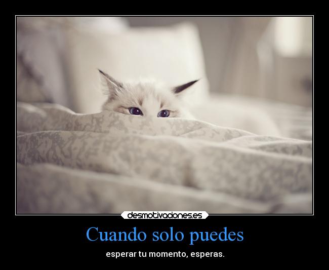 Cuando solo puedes -