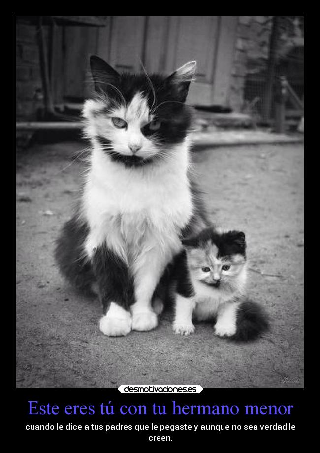 carteles desmotivaciones desmotivaciones