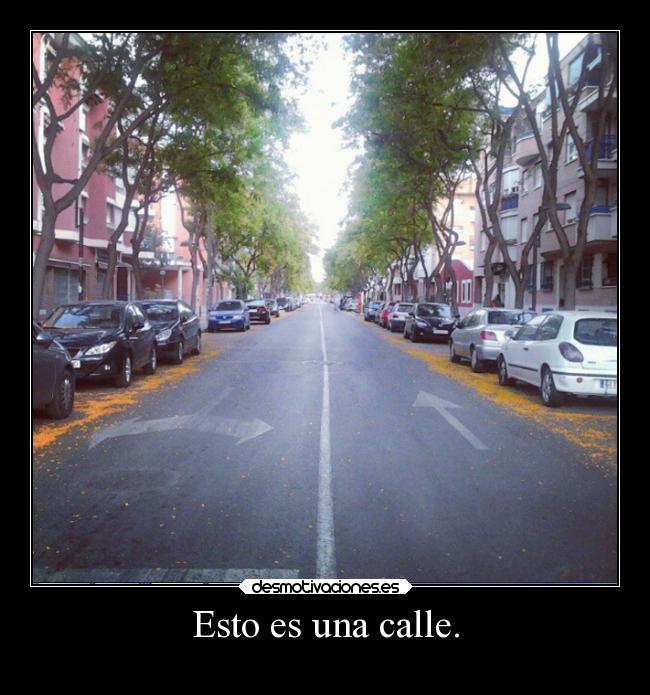Esto es una calle. -
