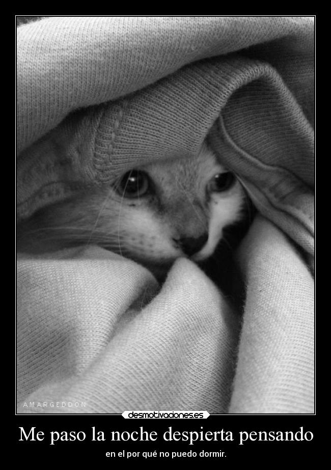 Me paso la noche despierta pensando - en el por qué no puedo dormir.