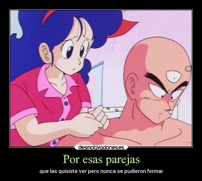 carteles devilbrigade ail dragon ball tenshinhan lunch launch merecian estar juntos chaos tiene culpa desmotivaciones