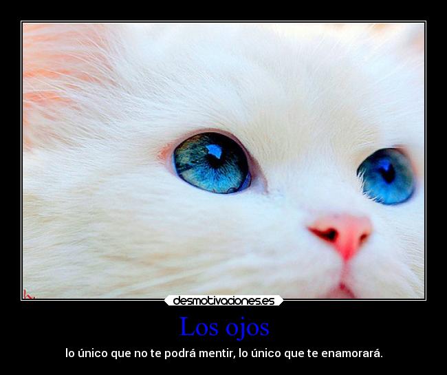 Los ojos - lo único que no te podrá mentir, lo único que te enamorará.