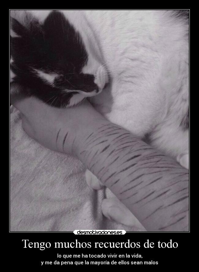 Tengo muchos recuerdos de todo -