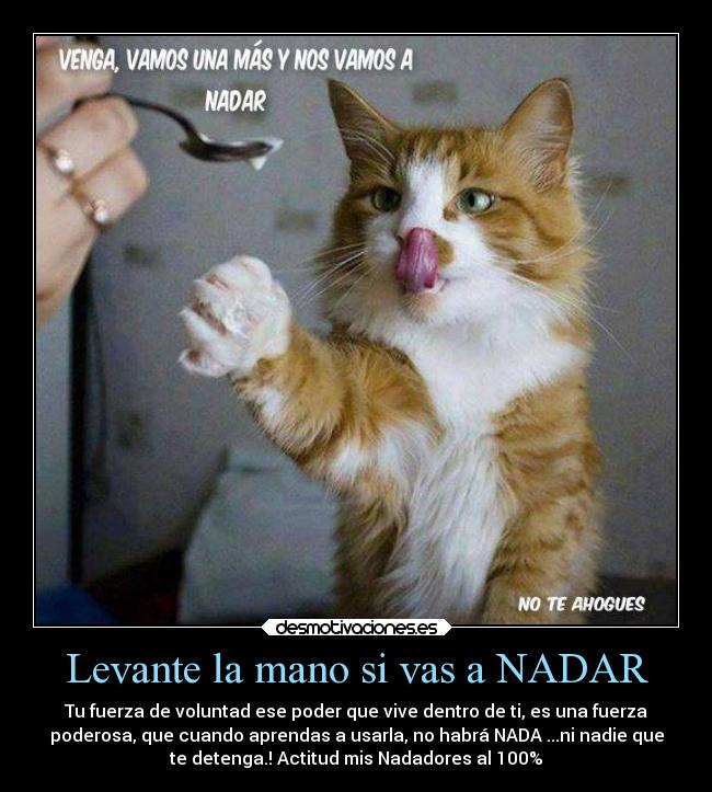 Levante la mano si vas a NADAR - Tu fuerza de voluntad ese poder que vive dentro de ti, es una fuerza
poderosa, que cuando aprendas a usarla, no habrá NADA ...ni nadie que
te detenga.! Actitud mis Nadadores al 100%
