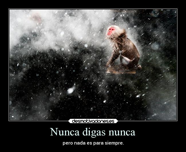 Nunca digas nunca - pero nada es para siempre.