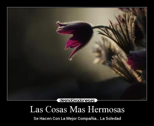 Las Cosas Mas Hermosas - 