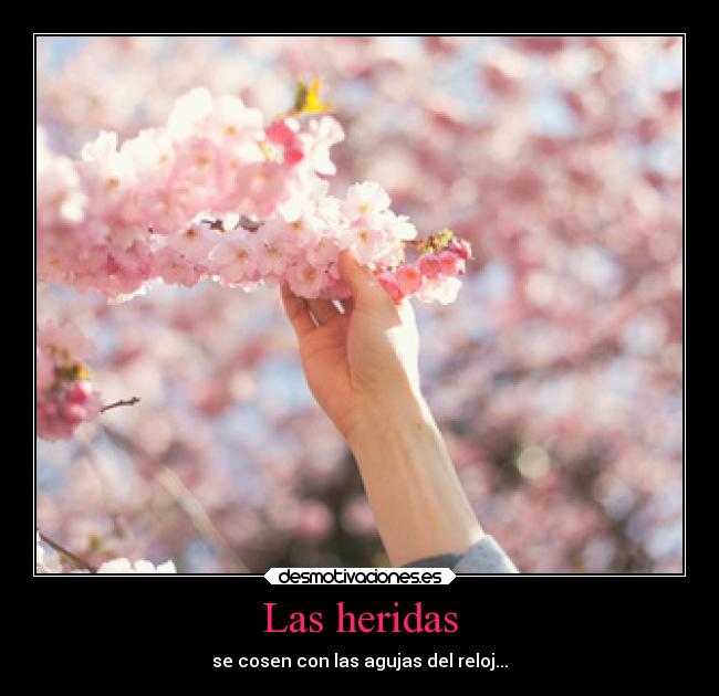 Las heridas - se cosen con las agujas del reloj...