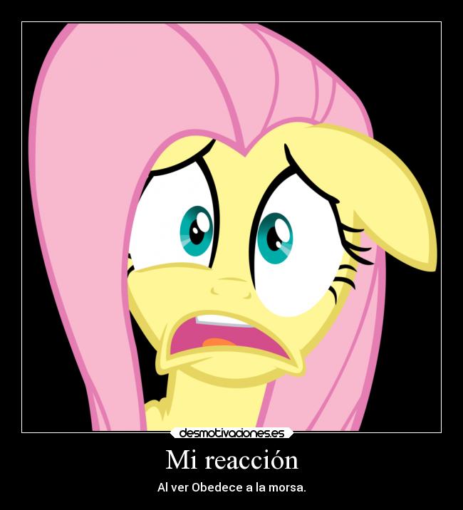 Mi reacción - Al ver Obedece a la morsa.