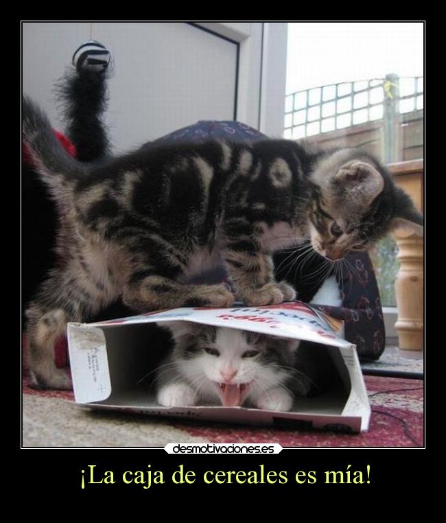 ¡La caja de cereales es mía! - 