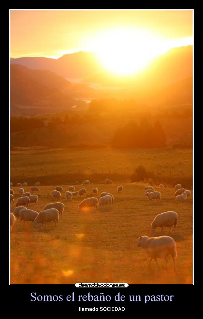 Somos el rebaño de un pastor - llamado SOCIEDAD