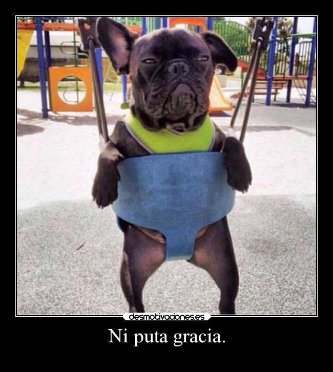 Ni puta gracia. -