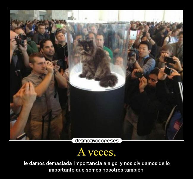 A veces, - le damos demasiada  importancia a algo  y nos olvidamos de lo
importante que somos nosotros también.