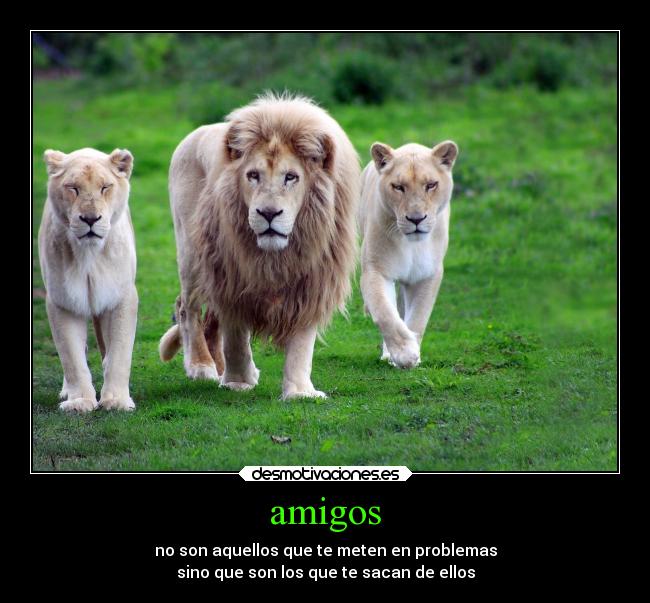 amigos - no son aquellos que te meten en problemas
sino que son los que te sacan de ellos