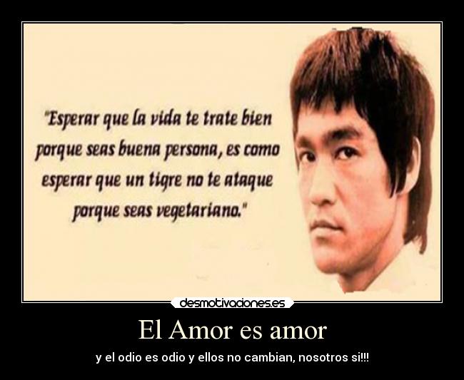 El Amor es amor - 