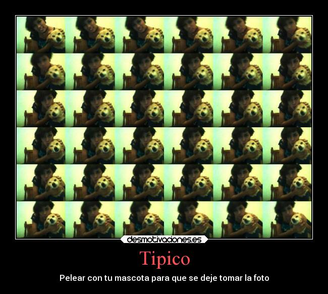 Tipico - Pelear con tu mascota para que se deje tomar la foto