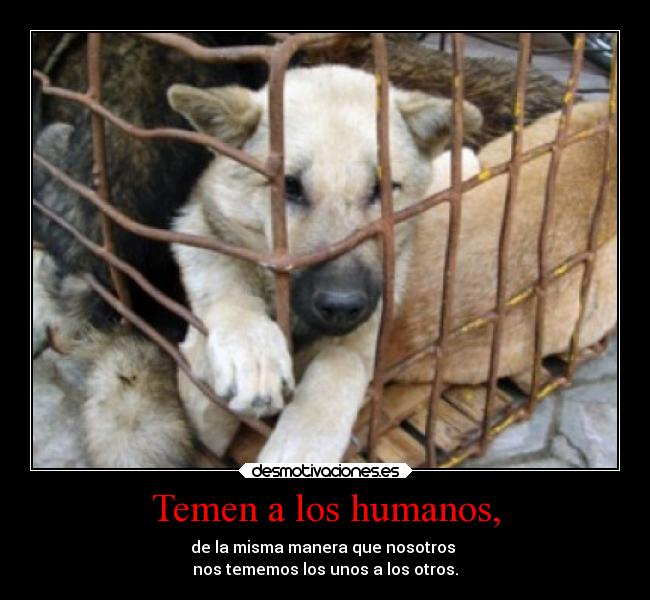 Temen a los humanos, - de la misma manera que nosotros
nos tememos los unos a los otros.