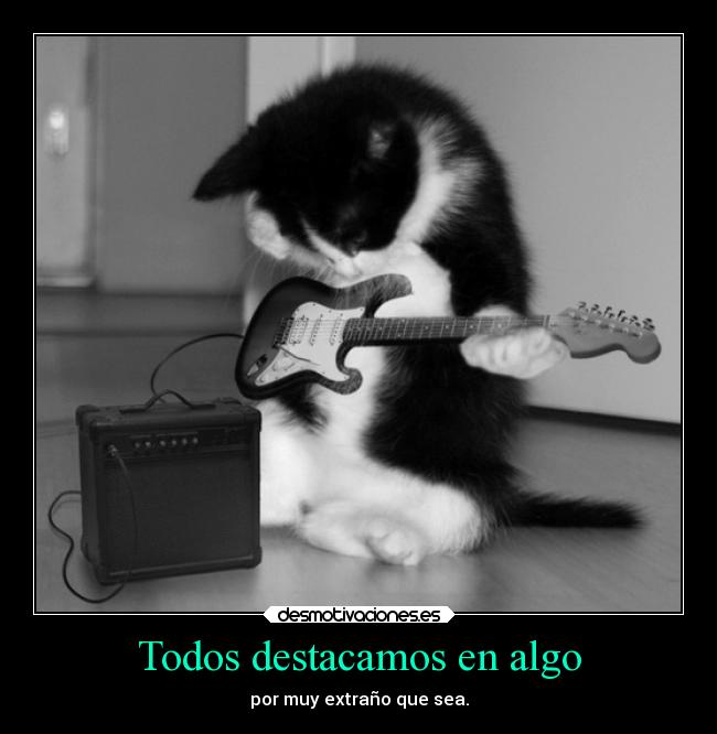 Todos destacamos en algo - por muy extraño que sea.