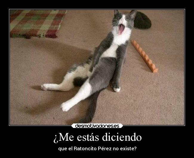 carteles humor gatos animales ratoncito perez desmotivaciones