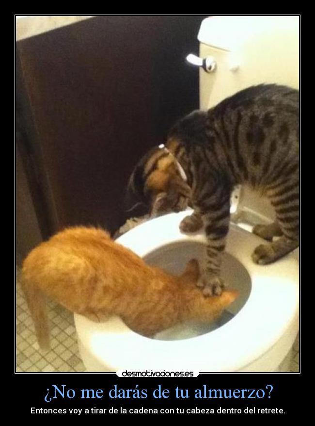 ¿No me darás de tu almuerzo? - Entonces voy a tirar de la cadena con tu cabeza dentro del retrete.