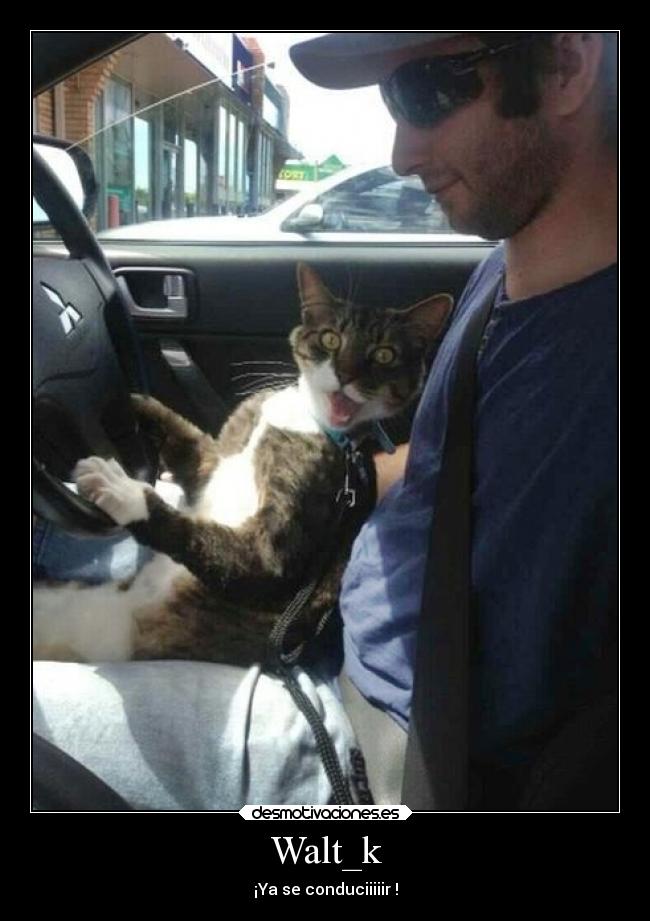 Walt_k - ¡Ya se conduciiiiir !