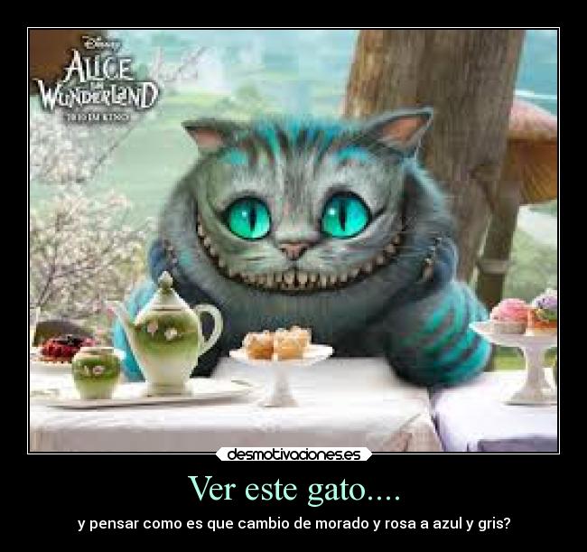 Ver este gato.... - y pensar como es que cambio de morado y rosa a azul y gris?