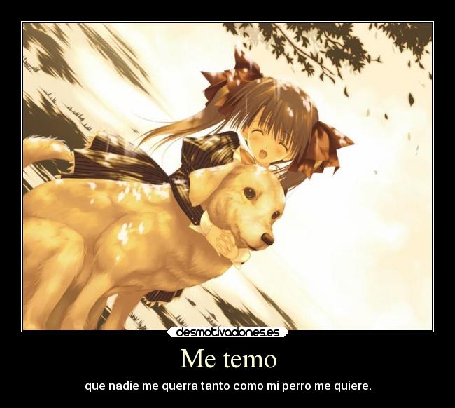 Me temo - que nadie me querra tanto como mi perro me quiere.