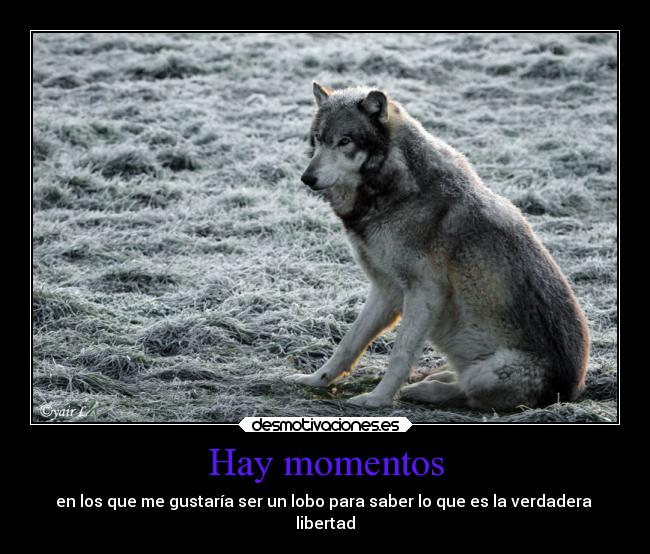 Hay momentos - 