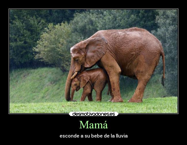 Mamá - esconde a su bebe de la lluvia