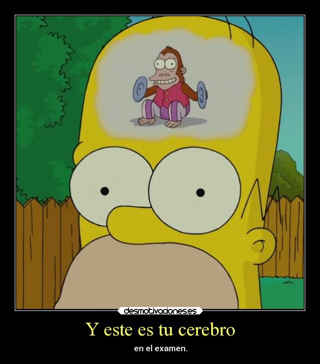 carteles homer simpson piensa aag desmotivaciones