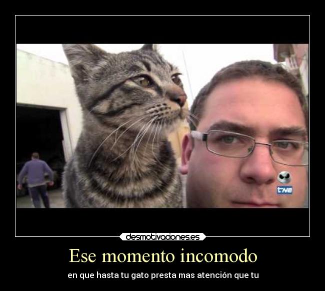 carteles sonrisa humor graciosas gatosanimales desmotivaciones