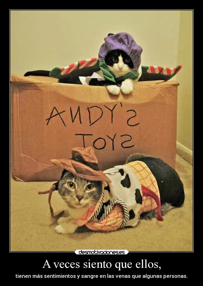 A veces siento que ellos, -