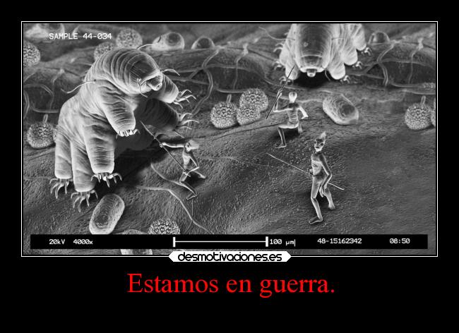 Estamos en guerra. -