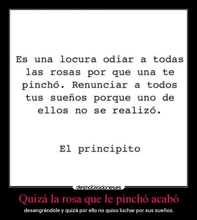 Quizá la rosa que le pinchó acabó - 
