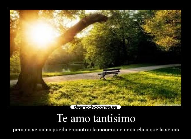 Te amo tantísimo - pero no se cómo puedo encontrar la manera de decírtelo o que lo sepas