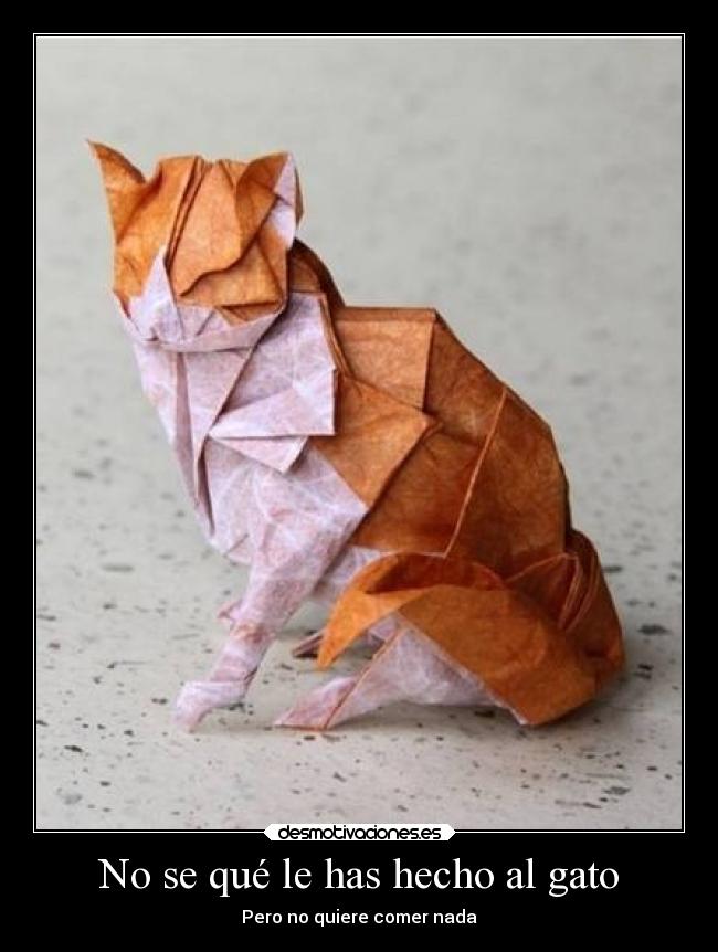 No se qué le has hecho al gato - Pero no quiere comer nada