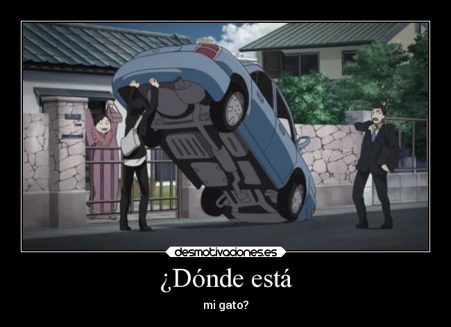 ¿Dónde está - mi gato?