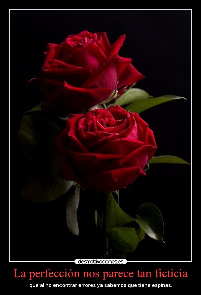 La perfección nos parece tan ficticia | Desmotivaciones