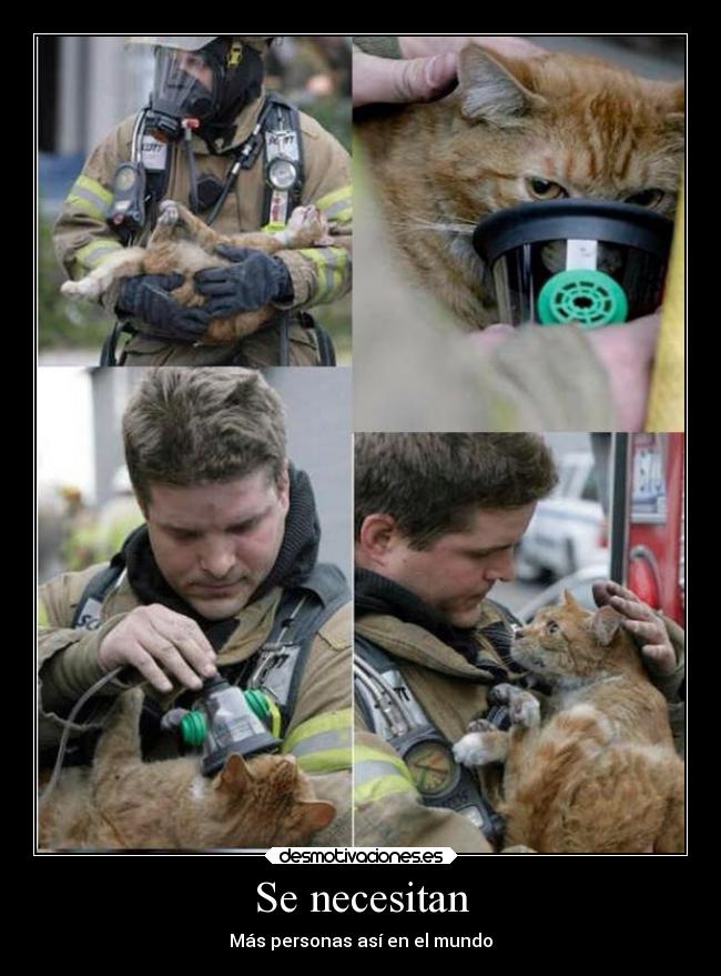 carteles bombero salva gatosde desmotivaciones