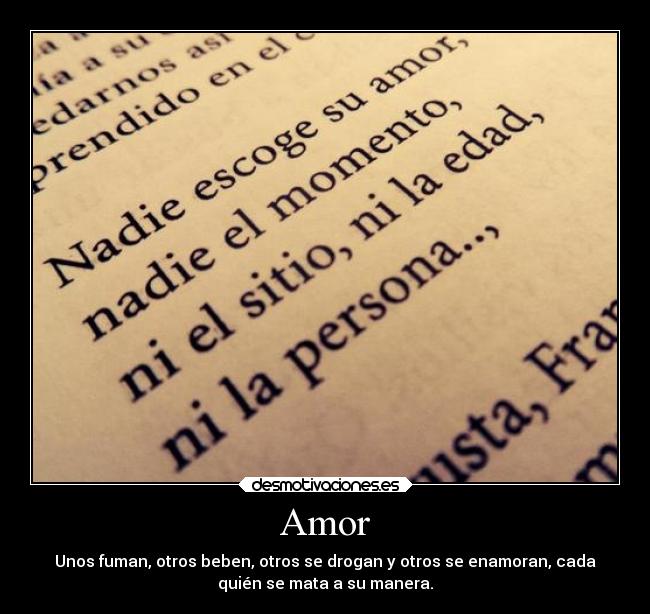 Amor - 