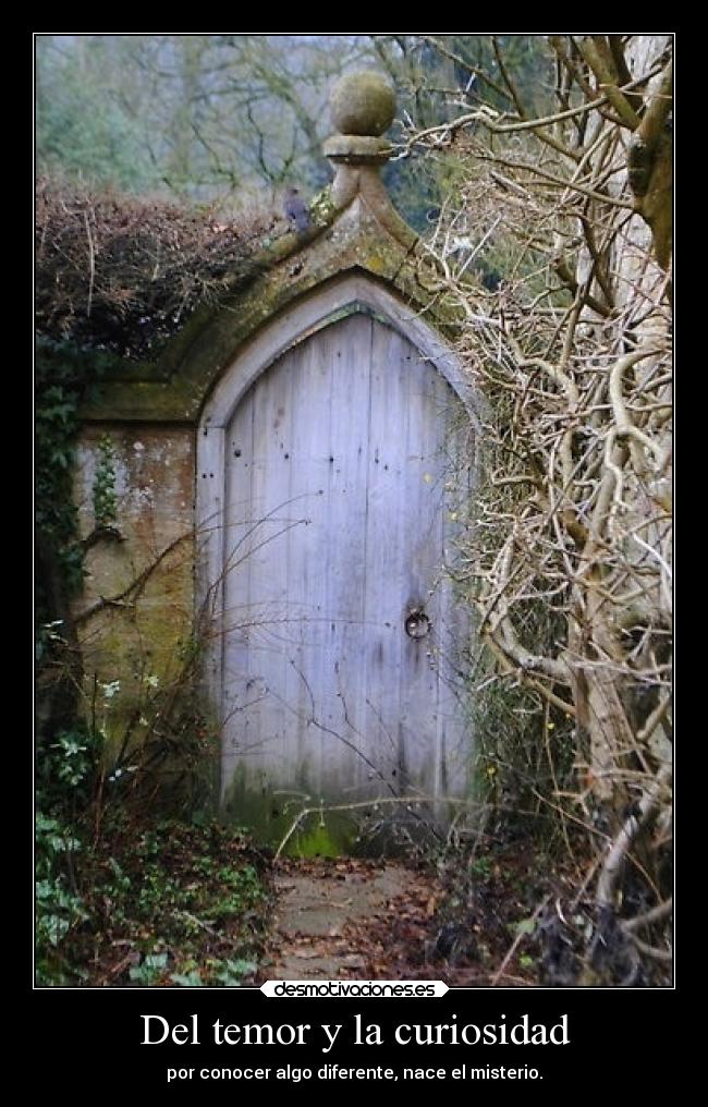 Del temor y la curiosidad -