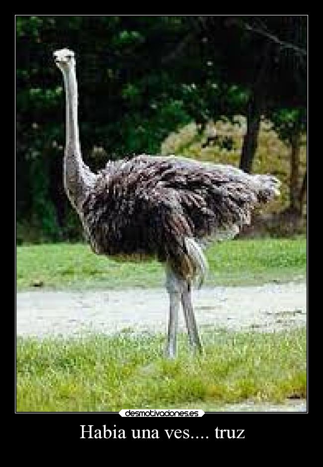 Habia una ves.... truz -