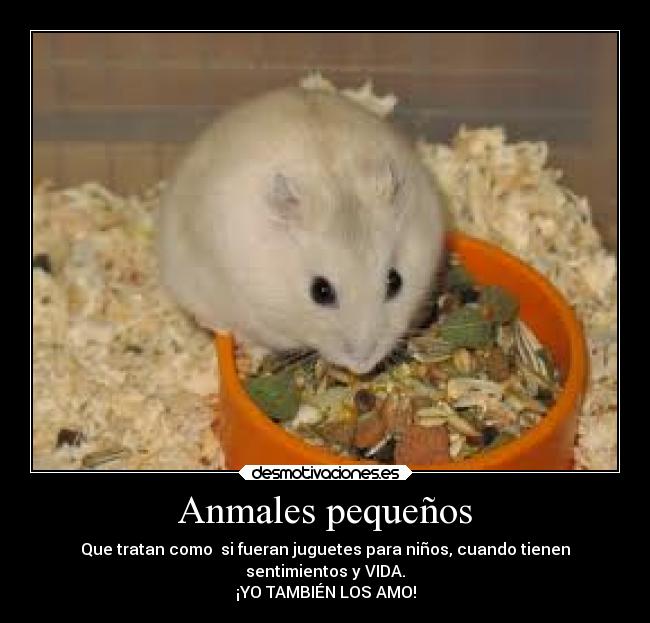 Anmales pequeños -