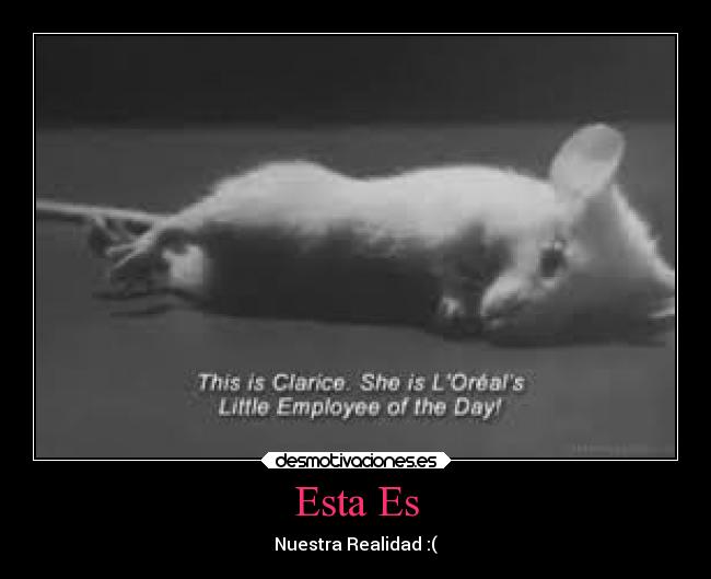 Esta Es - Nuestra Realidad :(