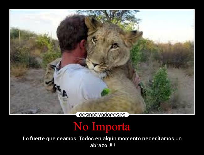 carteles abrazos desmotivaciones