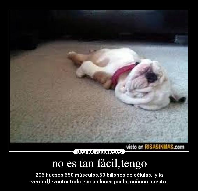 no es tan fácil,tengo -